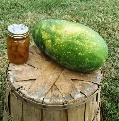 Waste Not, Want Not with This Watermelon Rind Pickles Recipe